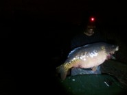 Brooklands Lake - 28lb 3oz