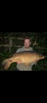 Abbey Meads - 23lb