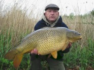 Brooklands Lake - 31lb