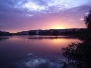 Brooklands Lake - 1lb