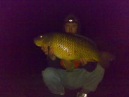 Trout Lake - 17lb 8oz